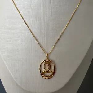 CORRENTE PIG PROFISSAO