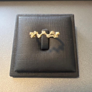 A1023 ANEL NOVE PEDRAS