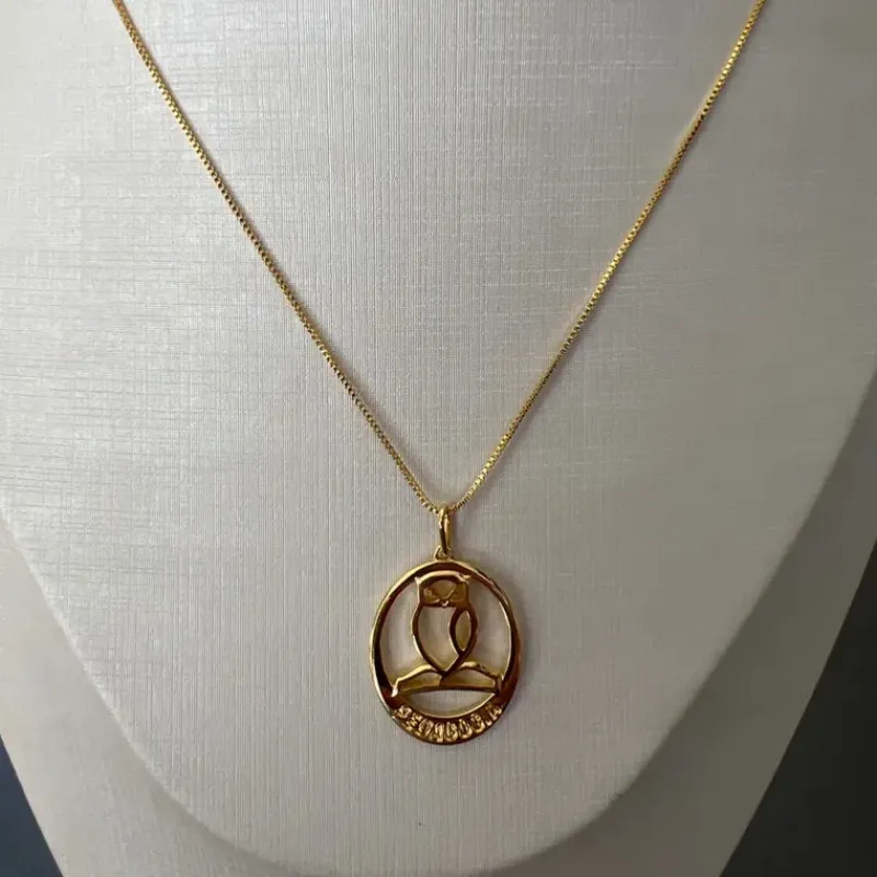 CORRENTE PIG PROFISSAO