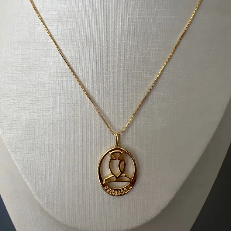 CORRENTE PIG PROFISSAO